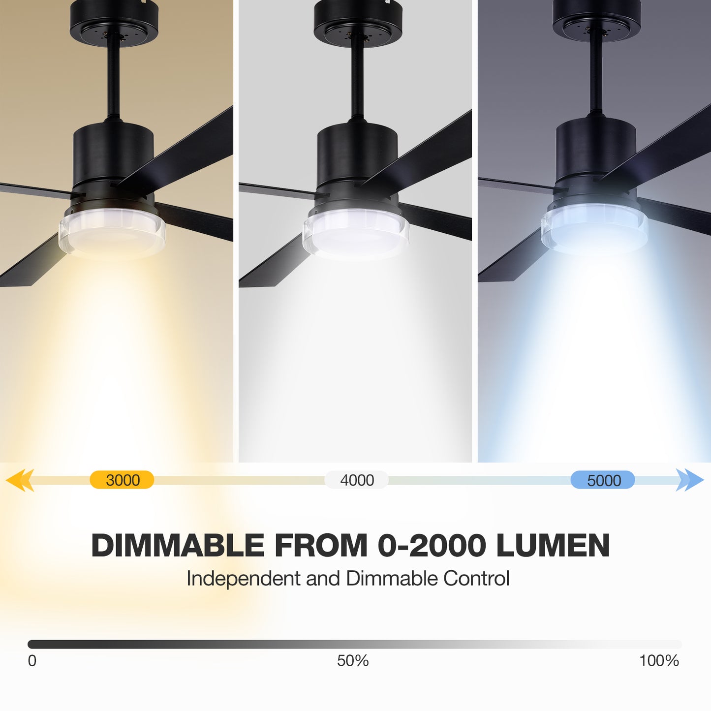 48" 4 - Blade LED Standard Ceiling Fan with Remote Control and Light Kit Included