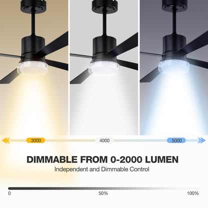 48" 4 - Blade LED Standard Ceiling Fan with Remote Control and Light Kit Included
